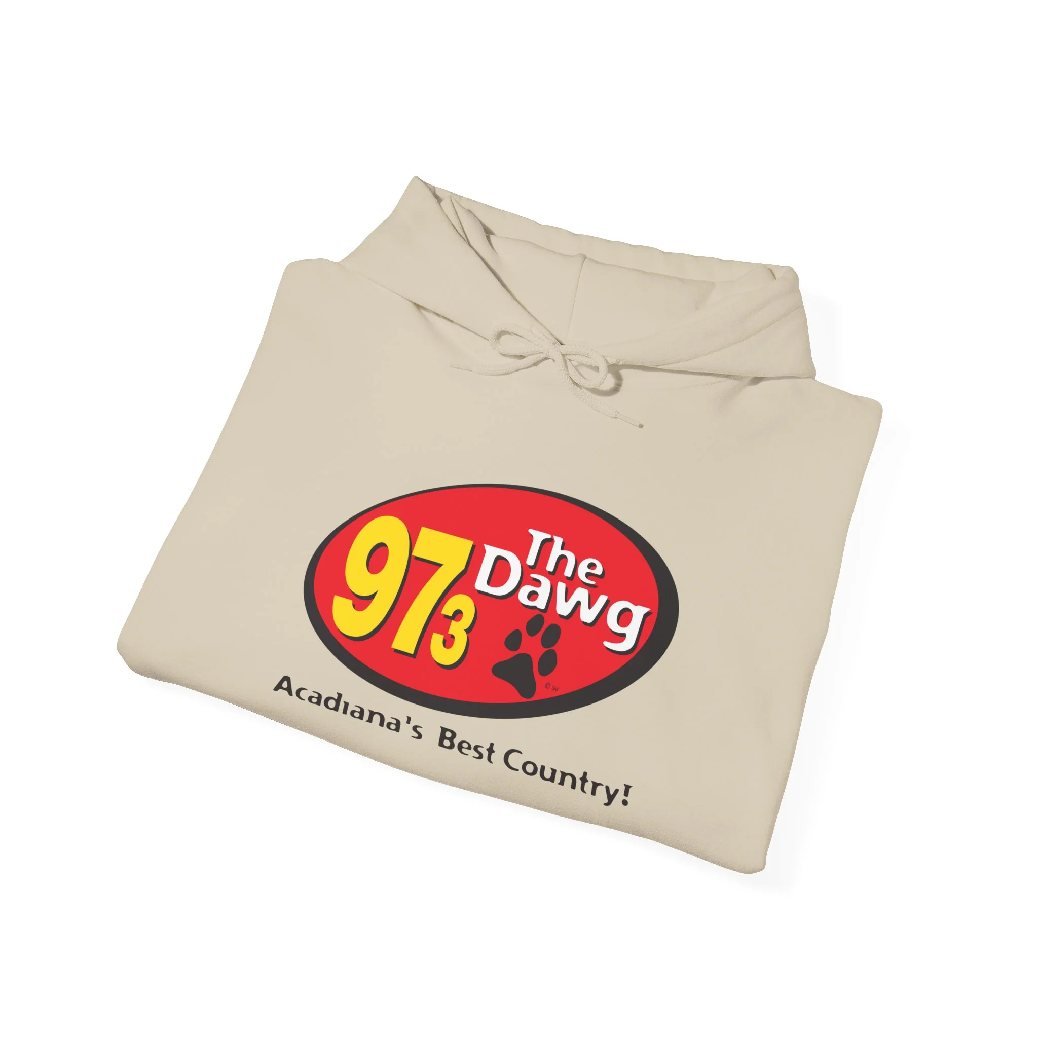 97.3 The Dawg Unisex Heavy Blend™ Hooded Sweatshirt - Image 10