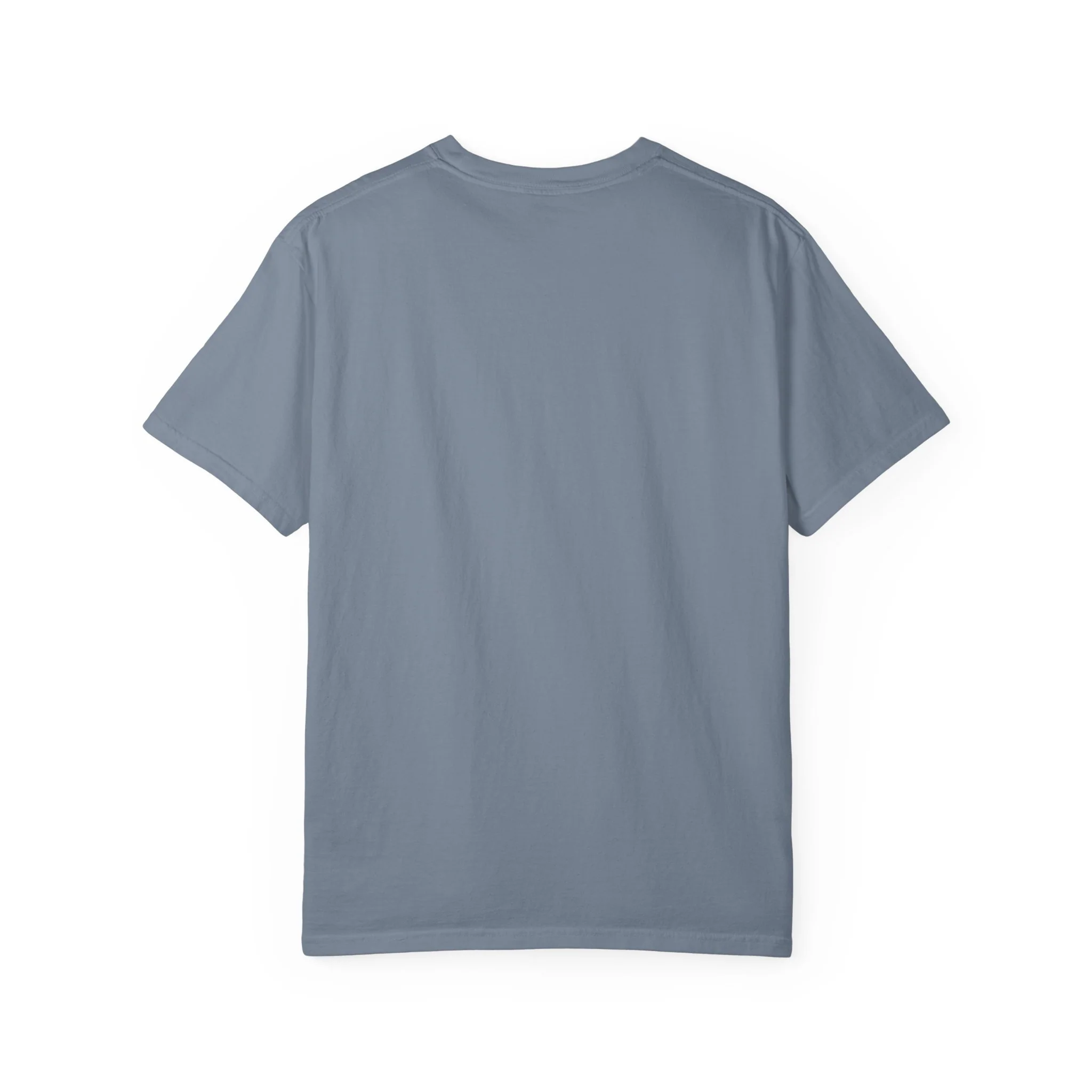 Big Frog 104 Unisex Garment-Dyed T-shirt - Image 26