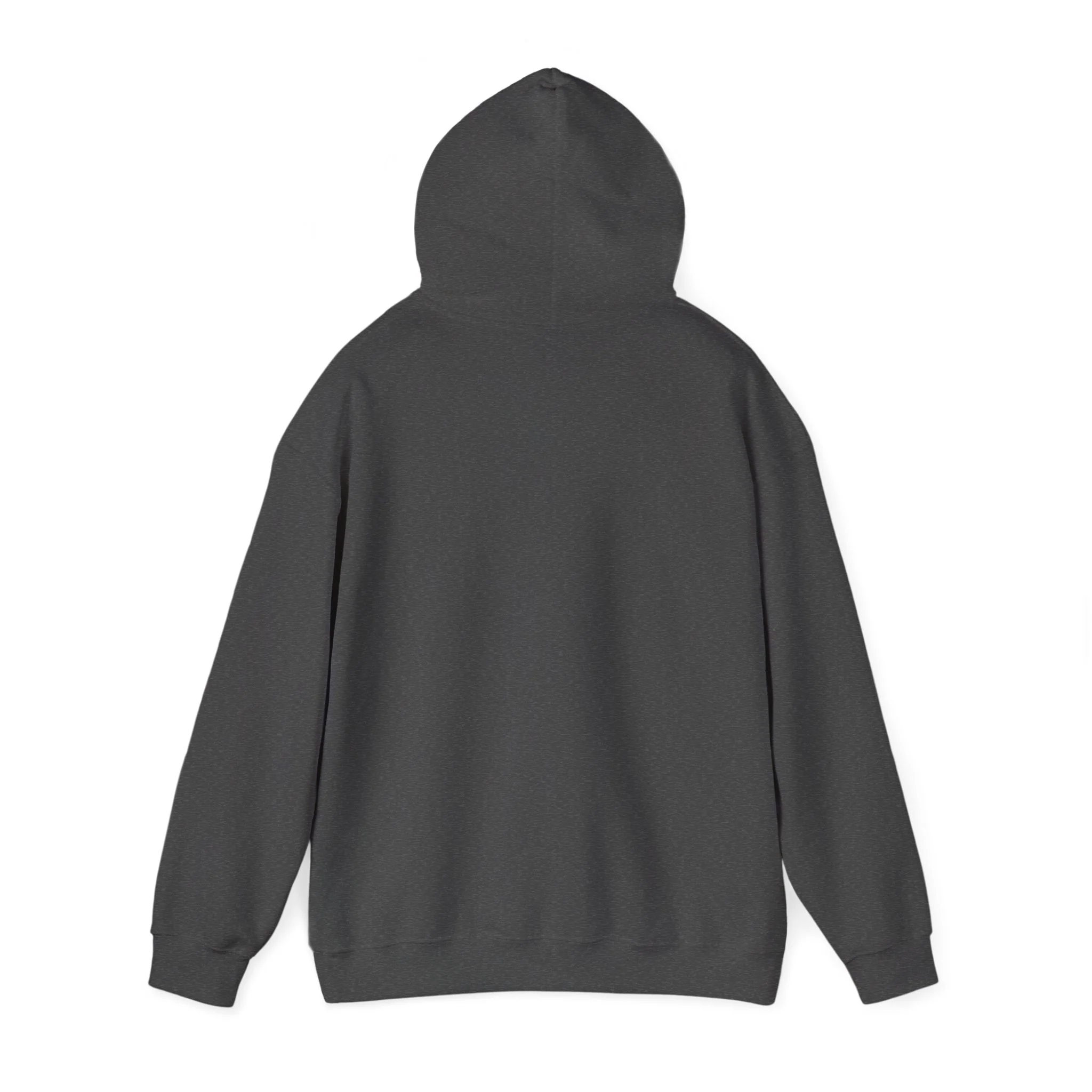 Retro Cat Country 102.9 KCTR Unisex Heavy Blend™ Hooded Sweatshirt - Image 15