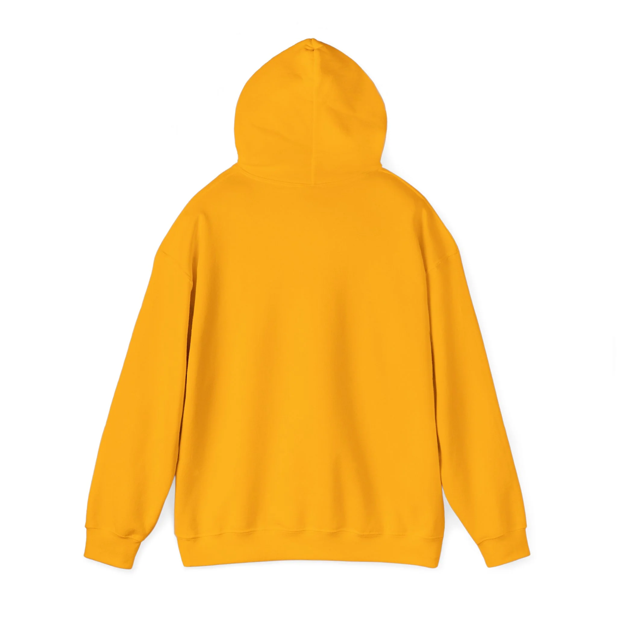 Sound of the South Hoodie - Image 13