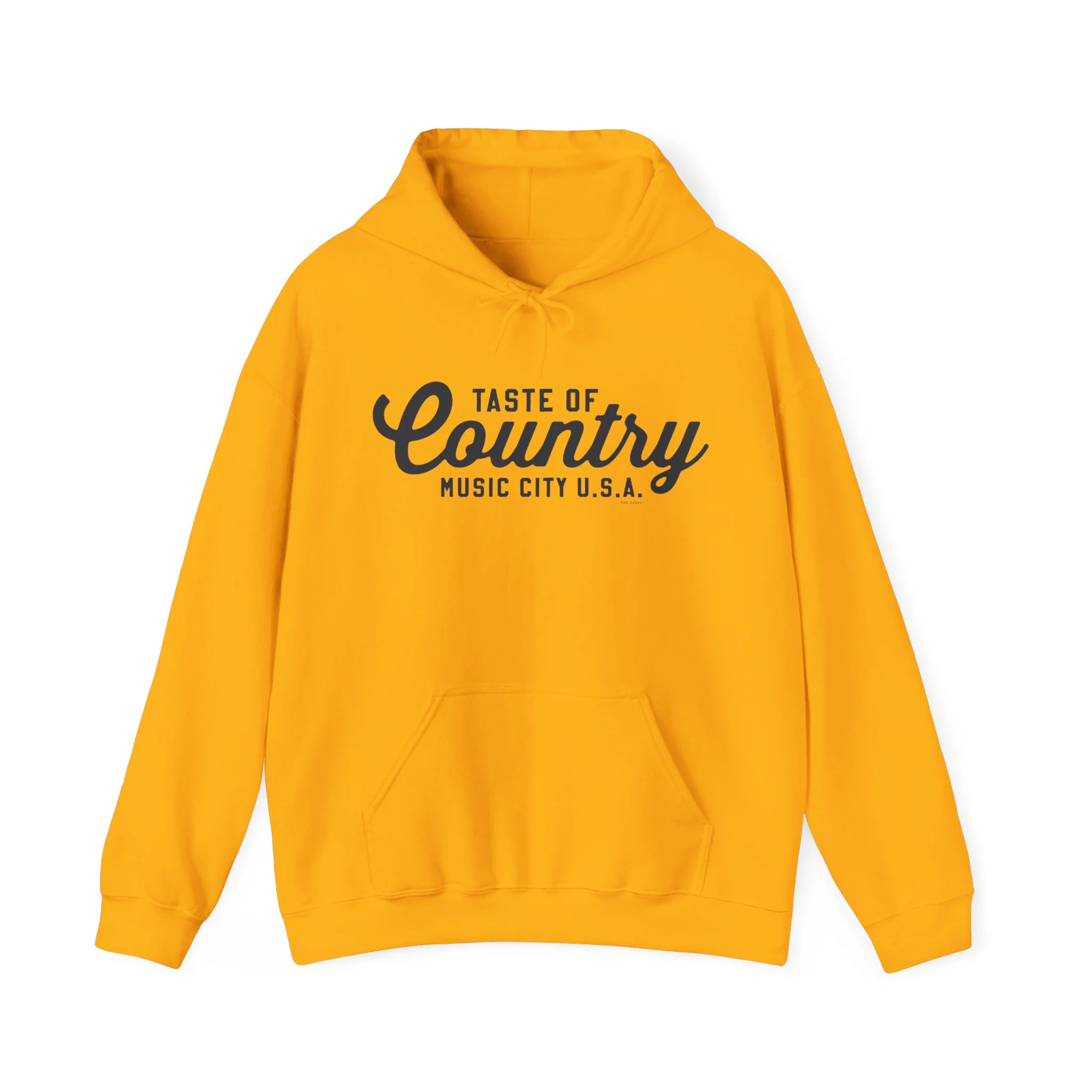 Sound of the South Hoodie - Image 3